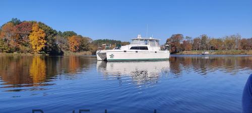 Endeavour 2000  technische daten 